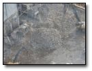 Aerial showing concrete debris - this will turned into Type 1 and Used in basement fill