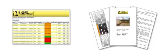 The 8-Second Trick For Asbestos Survey City Of London